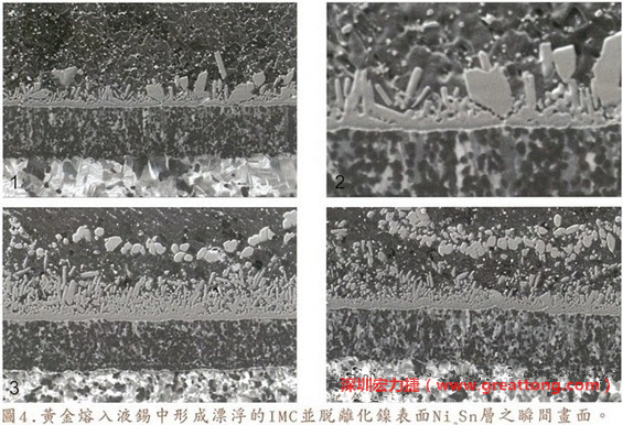 下面四張圖片為放大4500倍的SEM圖像，說明在回流焊爐熱量不足的情況下，黃金成份正要從鎳層分離融入焊錫之中的瞬間，當零件遭受外力沖擊的時候就極有可能從這一整排AuSn、、AuSn2或AuSn4的IMC處裂開。